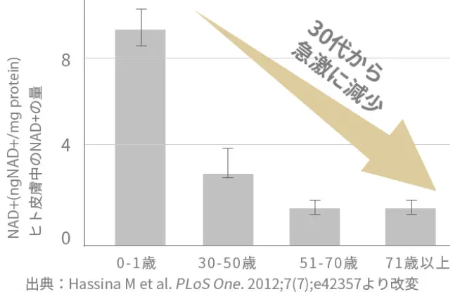 ヒト皮膚中のNAD+の量