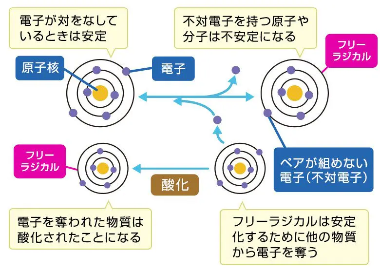 キレーション療法 | 国際ハートスリープクリニックつくば